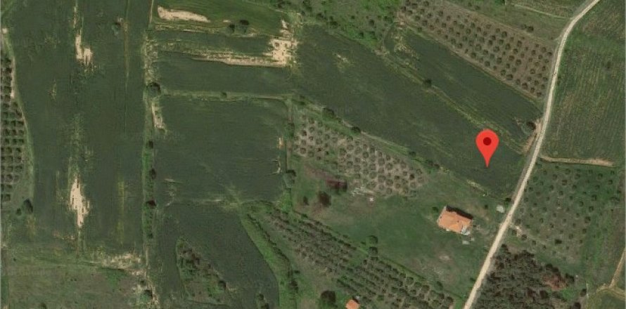 9800m² Land in Chalkidiki, Greece No. 58121