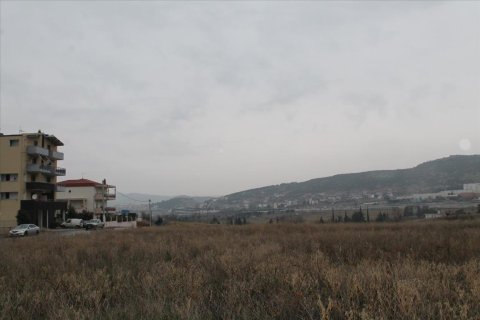 3900m² Land in Polichni, Greece No. 58365 1