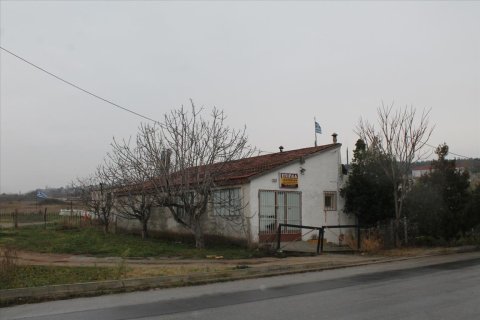 3900m² Land in Polichni, Greece No. 58365 5