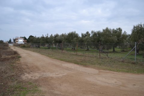 2700m² Land in Polygyros, Greece No. 58362 1