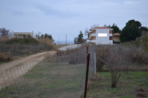 2700m² Land in Polygyros, Greece No. 58362 5