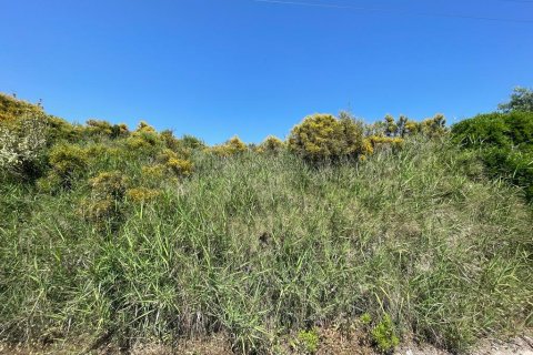 10025m² Land en Corfu, Greece No. 58363 2