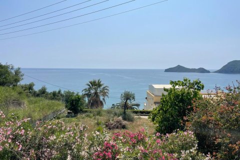 10025m² Land in Corfu, Greece No. 58363 1