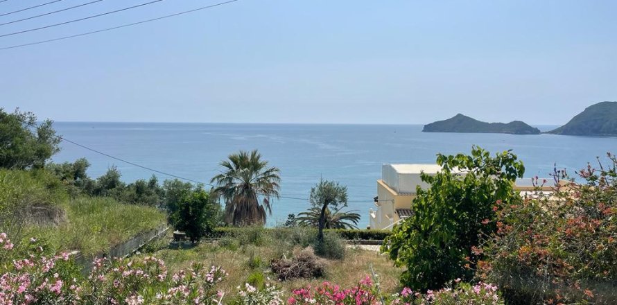 10025m² Land en Corfu, Greece No. 58363