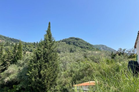 10025m² Land en Corfu, Greece No. 58363 4