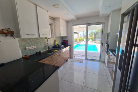 6 dormitorios Villa en Tala, Cyprus No. 36749 25