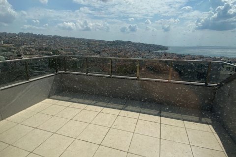 5+2 Apartment in Istanbul, Turkey No. 16246 10