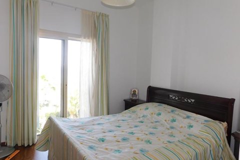 Studio Appartement à Limassol, Cyprus No. 48242 9