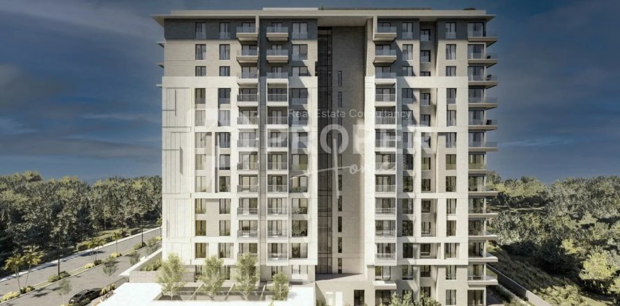 0+3 Apartment in Altintash, Turkey No. 12325