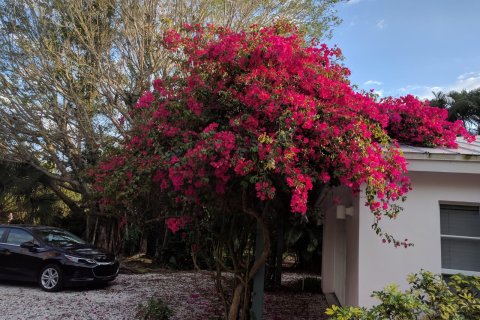 3 dormitorios Villa en Sanibel, USA No. 62401 25