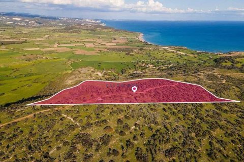 46489m² Land in Pissouri, Cyprus No. 76364 1