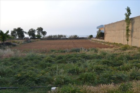 4996m² Land in Rethymno, Greece No. 59212 4