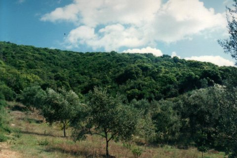 68000m² Land en Corfu, Greece No. 59213 1