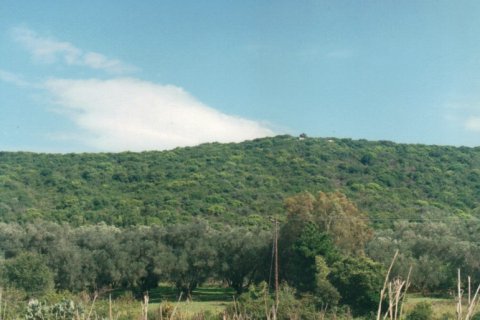 68000m² Land in Corfu, Greece No. 59213 3