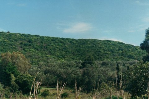 68000m² Land in Corfu, Greece No. 59213 5