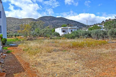 590m² Land à Malia, Greece No. 59214 3