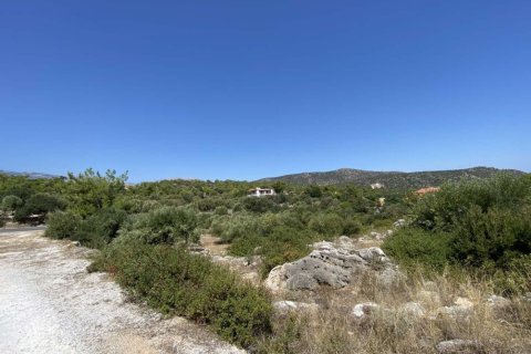 500m² Commercial property in Lasithi, Greece No. 51988 2