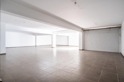 470m² Affaires à Euboea, Greece No. 55706 7