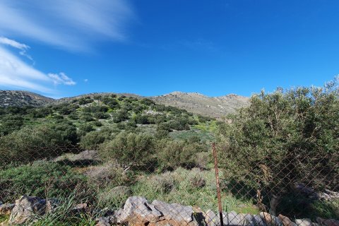 40085m² Land in Agios Nikolaos, Greece No. 55710 2