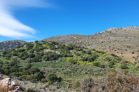 40085m² Land in Agios Nikolaos, Greece No. 55710 3