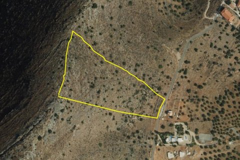 27671m² Land en Agios Nikolaos, Greece No. 55709 5