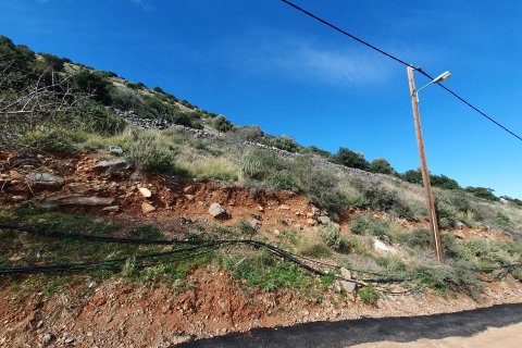 27671m² Land in Agios Nikolaos, Greece No. 55709 4