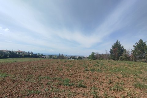 4700m² Land in Pylaia, Greece No. 54776 2