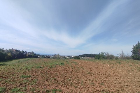 4700m² Land in Pylaia, Greece No. 54776 1