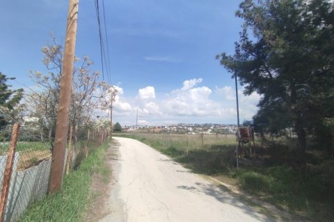 4700m² Land in Pylaia, Greece No. 54776 3