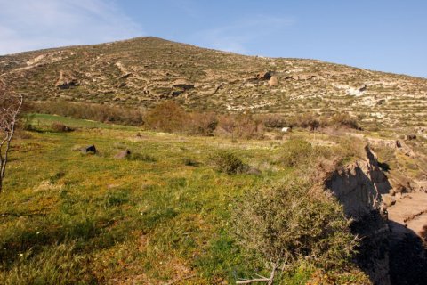 63000m² Land en Naxos, Greece No. 56473 5