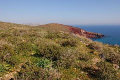 63000m² Land in Naxos, Greece No. 56473 3