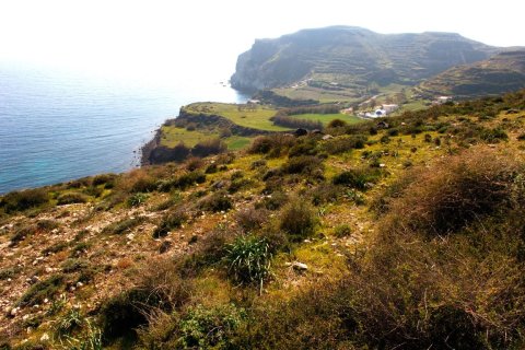 63000m² Land à Naxos, Greece No. 56473 2