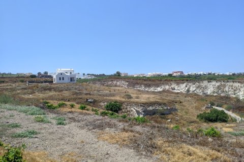 29000m² Land à Andros, Greece No. 56474 9