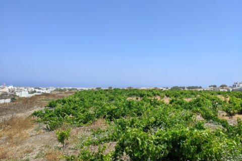 29000m² Land in Andros, Greece No. 56474 10