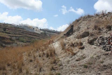 29000m² Land in Andros, Greece No. 56474 4