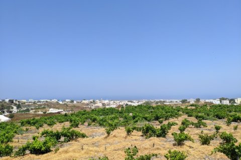 29000m² Land en Andros, Greece No. 56474 11