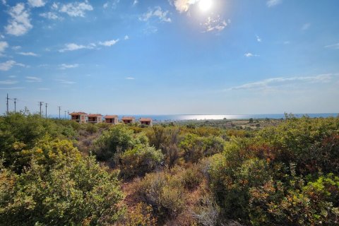 37500m² Land in Polygyros, Greece No. 55087 15