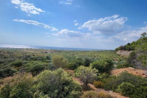 37500m² Land en Polygyros, Greece No. 55087 6