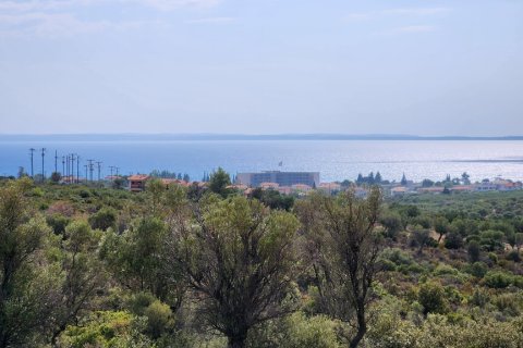 37500m² Land en Polygyros, Greece No. 55087 4