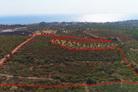 37500m² Land à Polygyros, Greece No. 55087 2