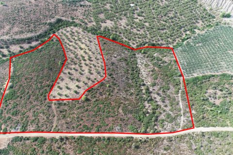 37500m² Land in Polygyros, Greece No. 55087 1