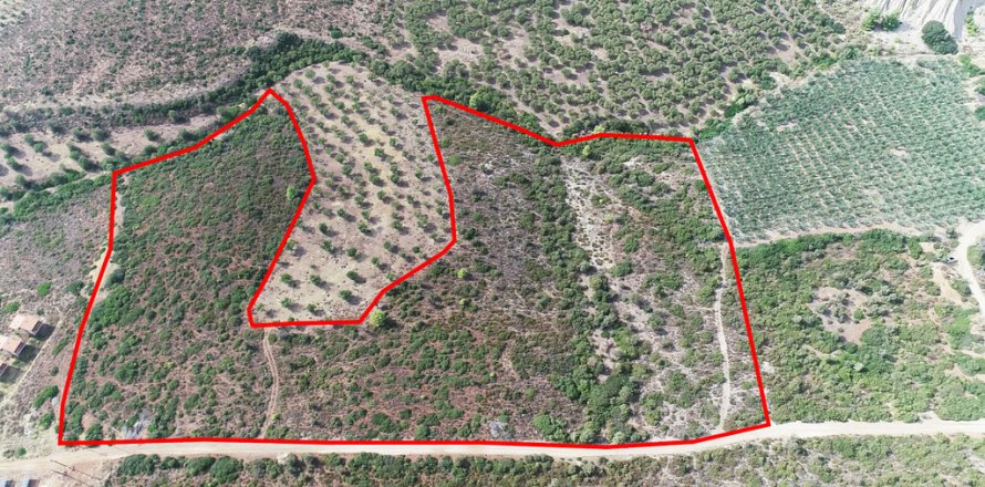 37500m² Land in Polygyros, Greece No. 55087