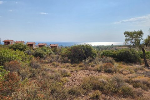 37500m² Land en Polygyros, Greece No. 55087 9