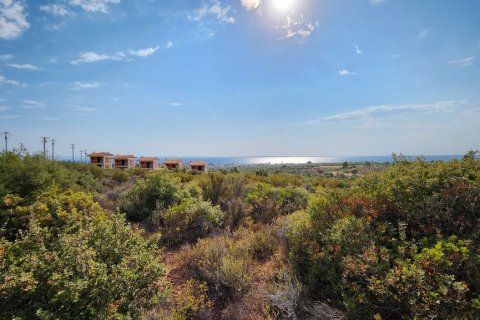 37500m² Land in Polygyros, Greece No. 55087 14