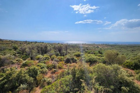 37500m² Land in Polygyros, Greece No. 55087 3