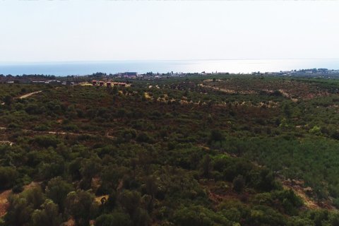 37500m² Land in Polygyros, Greece No. 55087 17