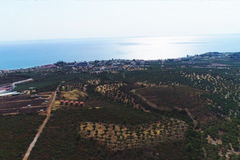 37500m² Land à Polygyros, Greece No. 55087 18