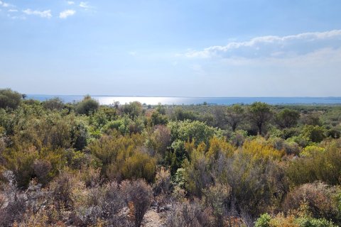 37500m² Land in Polygyros, Greece No. 55087 7