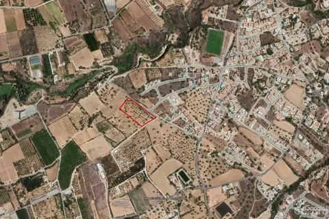 9000m² Land en Tala, Cyprus No. 41593 4