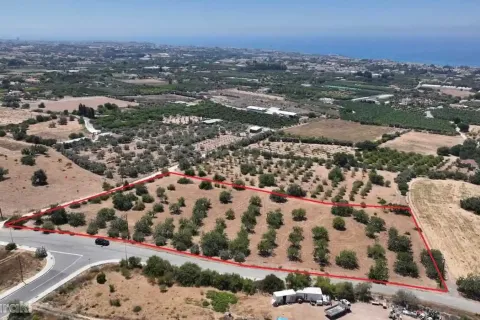 9000m² Land en Tala, Cyprus No. 41593 1